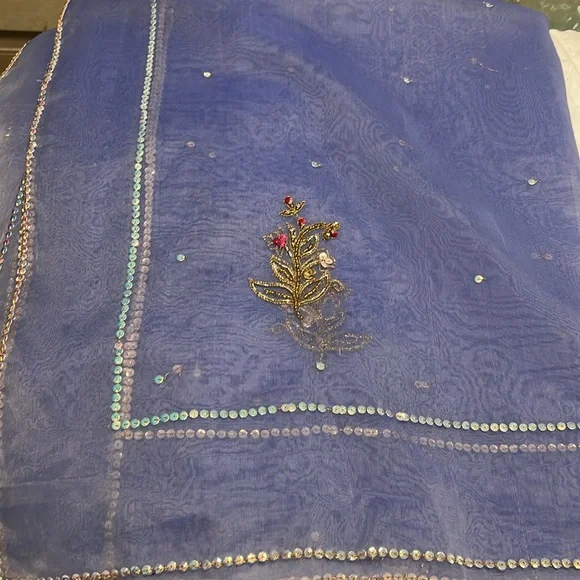 Shalwar kameez organza Duppatta blue size small. Indian Pakistani wear. - Picture 7 of 17